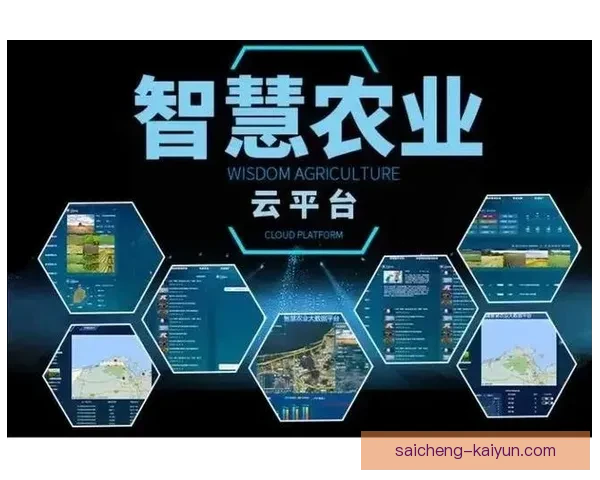 开云入口:探索未来城市创新中心打造智慧生活新篇章 开云入口:探索未来城市创新中心打造智慧生活新篇章